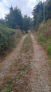 Linati's Apartments - 8