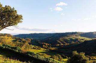 Villa Sassinoro Great Stays - Sermugnano - 5