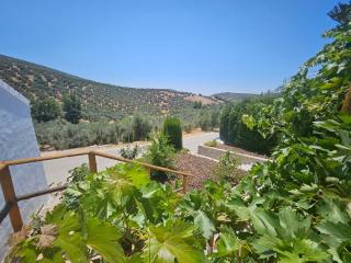 Le petit paradis de Nicole - Villanueva de Algaidas - 9