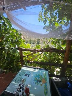 Le petit paradis de Nicole - Villanueva de Algaidas - 7