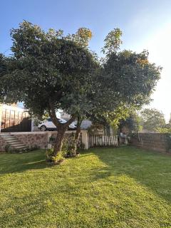 Casa Palmer, con gran jardín - 7