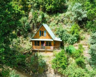 Quetzal Valley Cabins - San Gerardo de Dota - 0