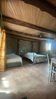 Mas d'Ambayrac chambres d'hôte Le bolet - Promilhanes - 0
