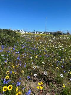 The Farmhouse Hotel - 5