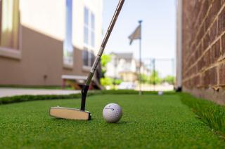Luxe Retreat with EV Charger & Putting Green - Frisco - 8