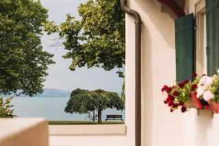 SeeHotel Amtshof - 2