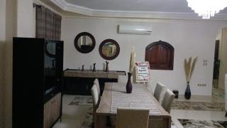 Fully Brand New Furnished Apartment - Sheikh Zayed - 3