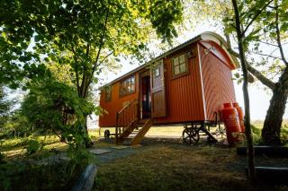 Sycamore and Stars Off Grid Retreat - Grasby - 8