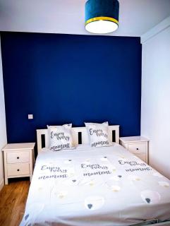 Le Porchaire - Appart 2ch - Elégant Spacieux et Calme au centre ville de Poitiers - Futuroscope à 20 min - 7