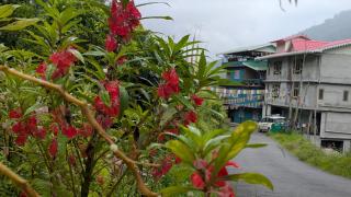 Surya Homestay - Tādong - 4