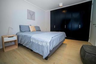 Luxury Stay in a Prime 1BR - Santiago - 3