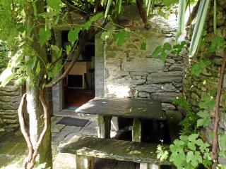 Rustico Il Nido - Maggia TI - 8