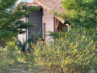 Eco Gîte - 9