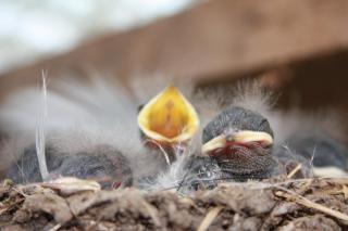 Landhaus Martens - Bresewitz - 4