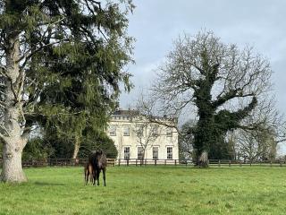 Lismacue House - Bansha - 0