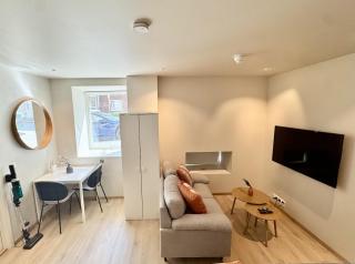Chic and Modern Studio - Central - Oslo - 9