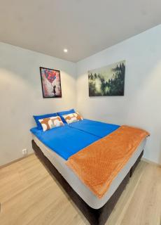 Chic and Modern Studio - Central - Oslo - 3