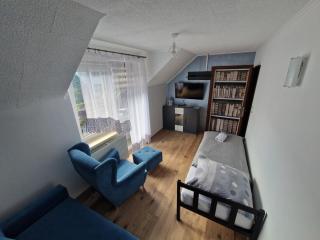 Pokoje gościnne Somea - Ustroń - 8