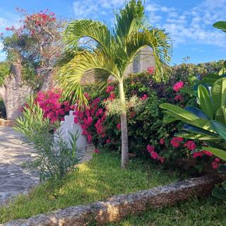 Dino residence - Malindi - 4