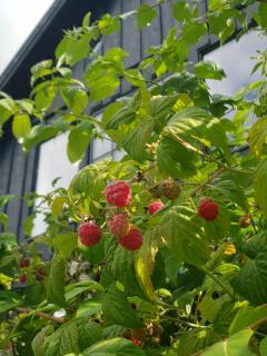 Villa Fjara sleeps 34 - Stange - 2