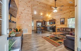 Bear Clubhouse - Pigeon Forge - 3