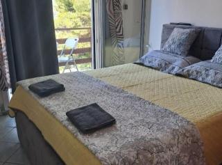 Apartments Boris Donji Karin - 8