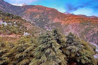 Hotel Holiday Hill Mcleodganj-Near to Dalai Lama Temple & Mall Road - 3
