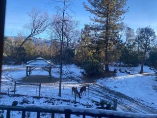 Queen Anne Villa by Bass Lake, 20 min to Yosemite - Oakhurst - 5