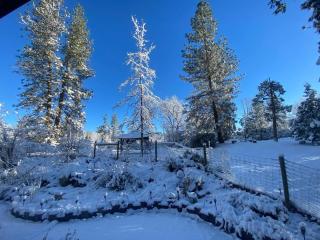 Queen Anne Villa by Bass Lake, 20 min to Yosemite - Oakhurst - 2
