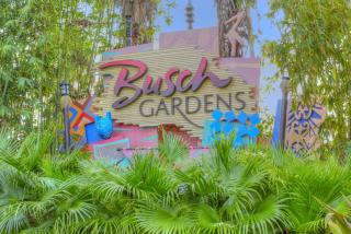 7 - Island Paradise Cottages - Sandy Shores - St Pete Beach - 4