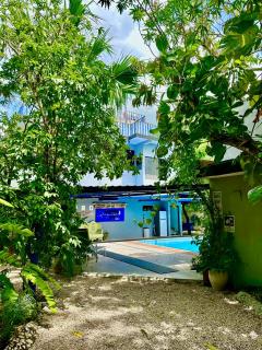 The Blue Eco Lodge - Valladolid - 3