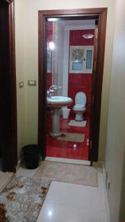 Fully Brand New Furnished Apartment - Sheikh Zayed - 1