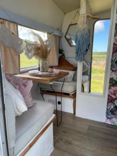 Original vintage spirit alpine Caravan Anglesey - 3