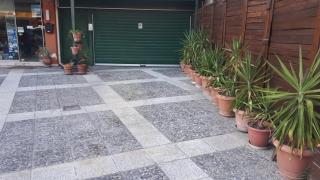 The Green Garden - 1