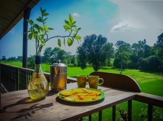 Babai Outback Adventures PVT LTD - Bardia - 2