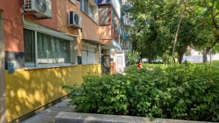 Turquoise - Boekarest - 4