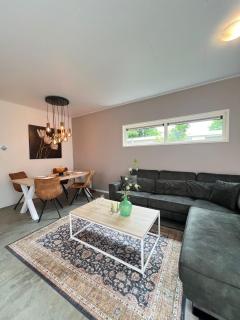 Lakeside Retreat at Veluwe - 5