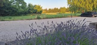Complexe dans un grand Mas Provençal en campagne avec piscine privée - Monteux - 5