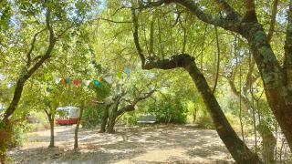 Tulpa Cádiz - 3