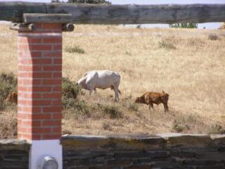 Monte da Freira - 8