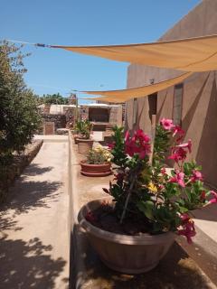 Dammuso le Vigne - 1