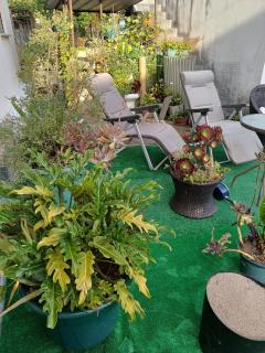 Os Pimentinhas - 3