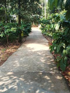 Thazhvaram Homestay - 2