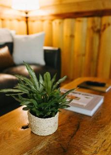 "Rocky Top" - Cozy RRG Cabin off Slade Exit! - 4