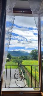 B&B Toringo - Capannori - 6