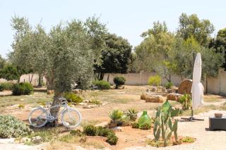 Tenuta Petra Chiara - B&B - Torre Lapillo - 4