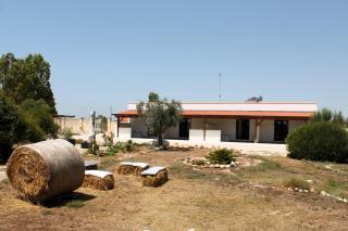 Tenuta Petra Chiara - B&B - 8