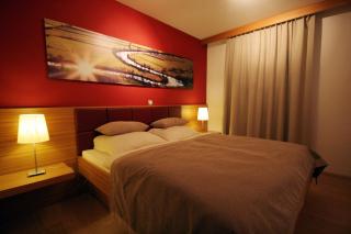 Apartment Na Krki - Kostanjevica na Krki - 2