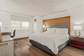 Holiday Inn Tampa Westshore - Airport Area by IHG - Tampa - 7