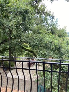 Villa La Quercia Country House - Sommariva del Bosco - 5